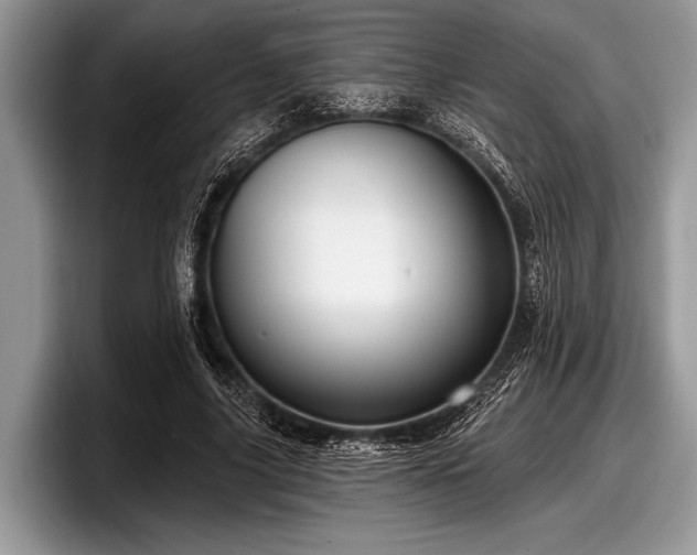 X0000097890635200803211356