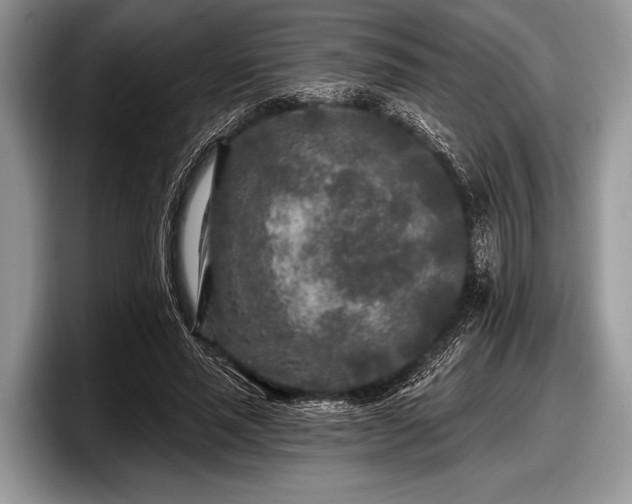 X0000097890637200803211356