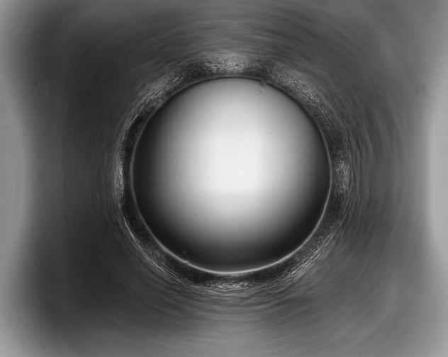 X0000097890638200803211356