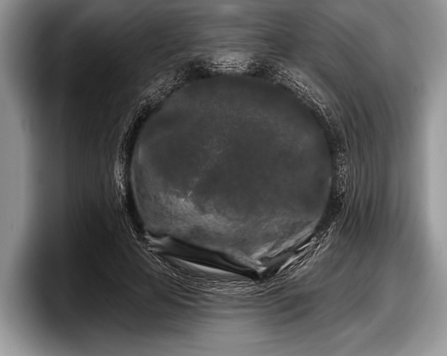 X0000097890641200803211356