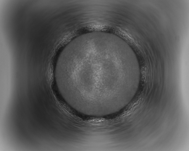 X0000097890642200803211356