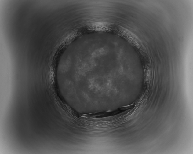 X0000097890643200803211356