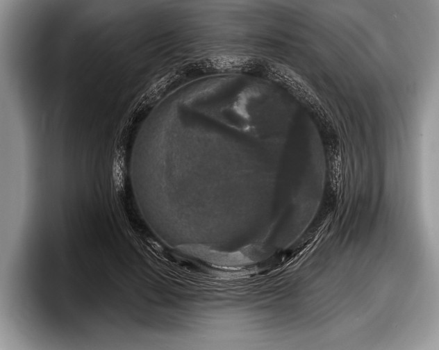 X0000097890644200803211356