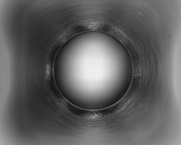 X0000097890646200803211356