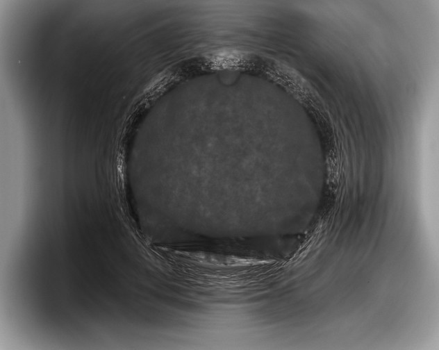 X0000097890648200803211356