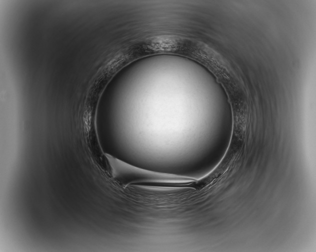 X0000097890652200803211356