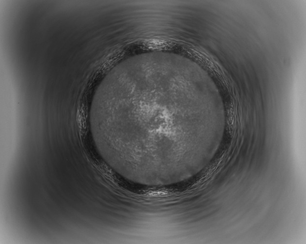 X0000097890653200803211356