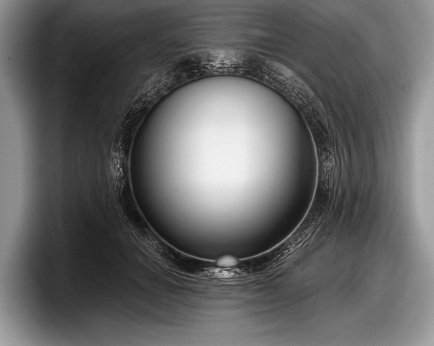 X0000097890654200803211356