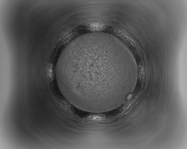 X0000097890655200803211356