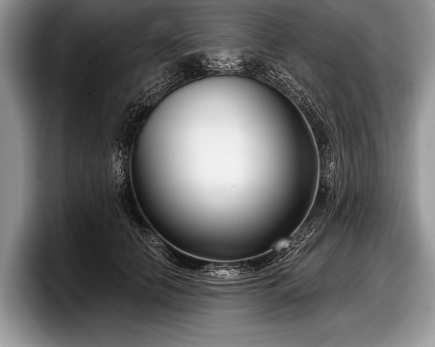 X0000097890658200803211356