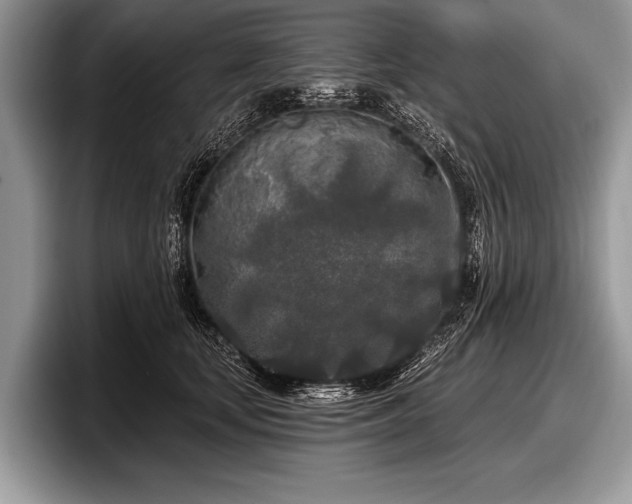 X0000097890659200803211356