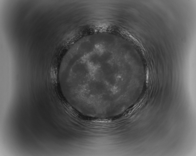 X0000097890661200803211356