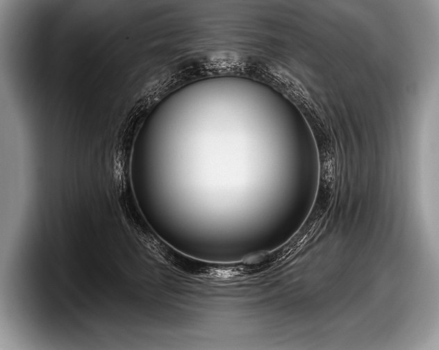 X0000097890662200803211356