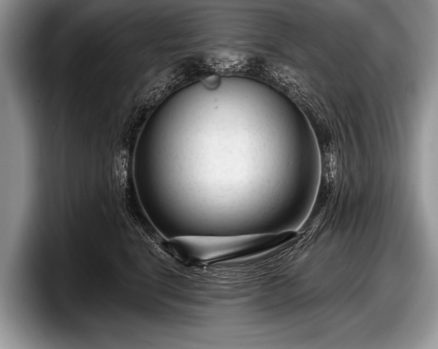 X0000097890664200803211356