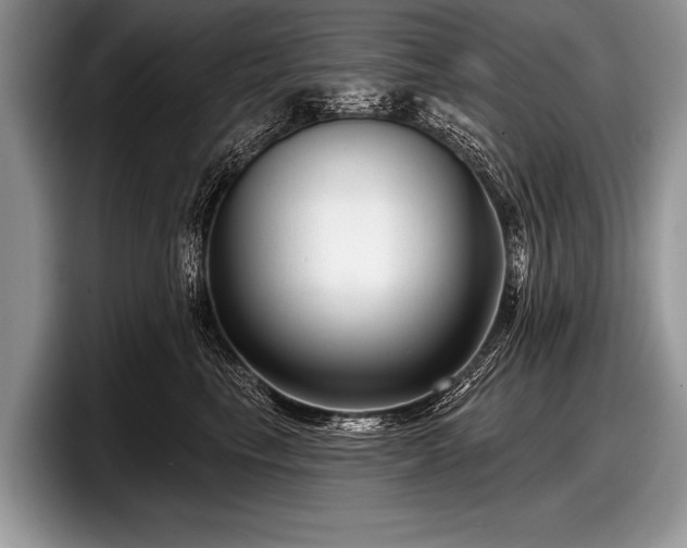 X0000097890665200803211356