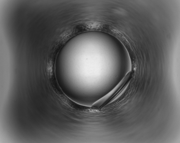 X0000097890668200803211356