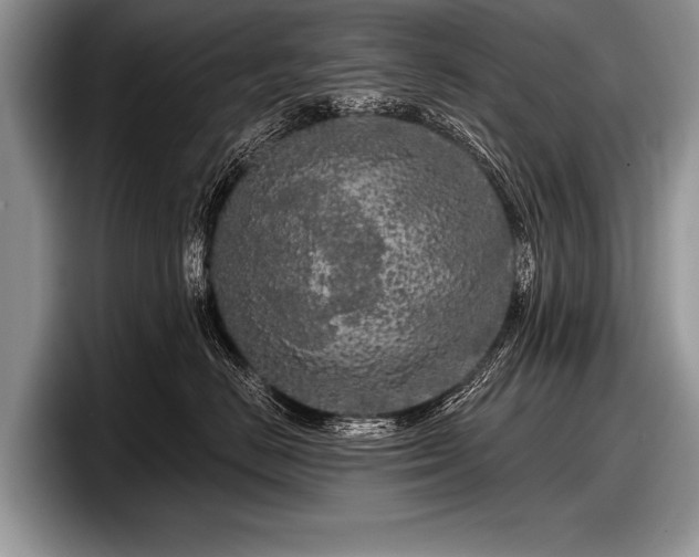 X0000097890670200803211356