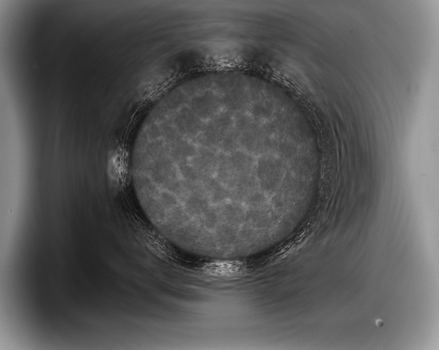 X0000097890672200803211356