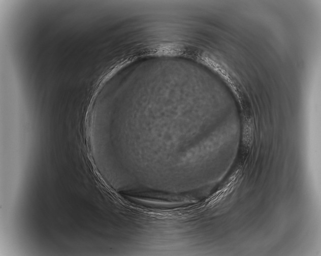 X0000097890673200803211356