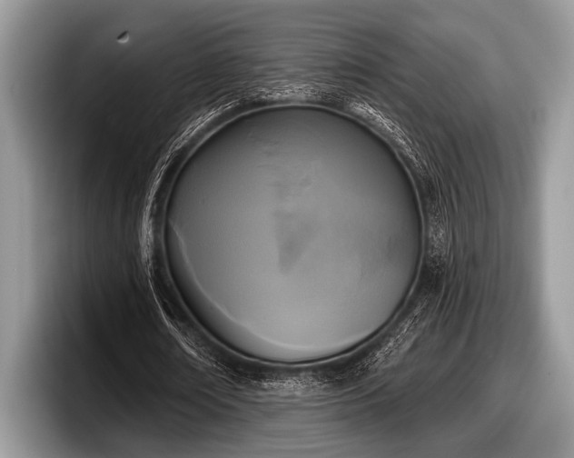 X0000097890674200803211356