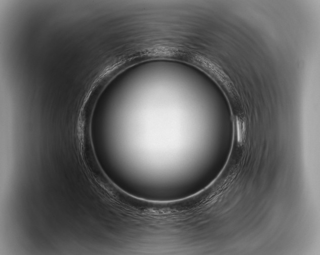 X0000097890675200803211356