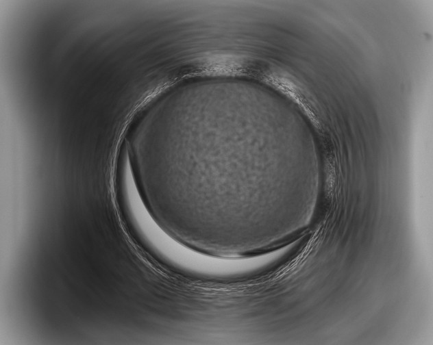 X0000097890677200803211356