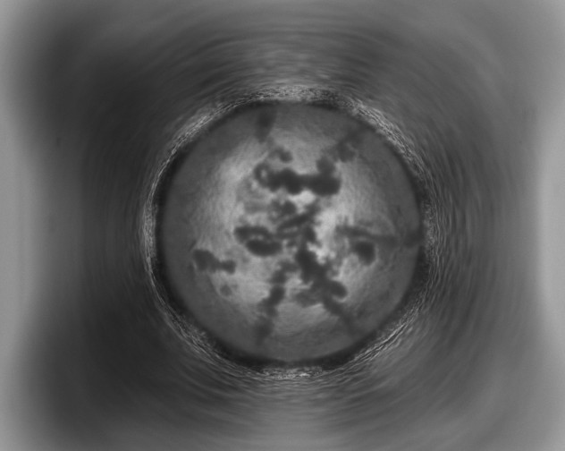 X0000097890679200803211356