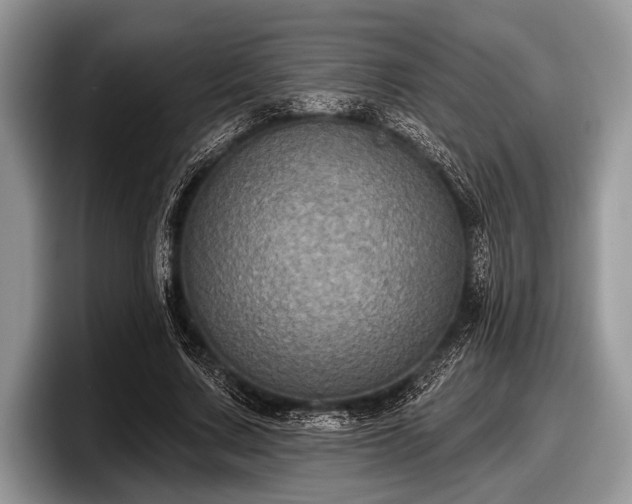 X0000097890683200803211356