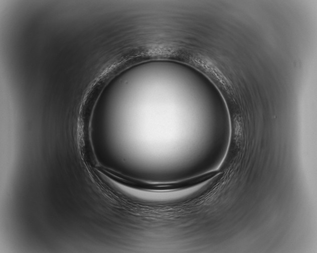 X0000097890684200803211356