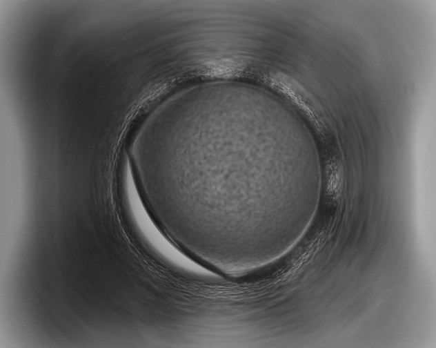 X0000097890685200803211356