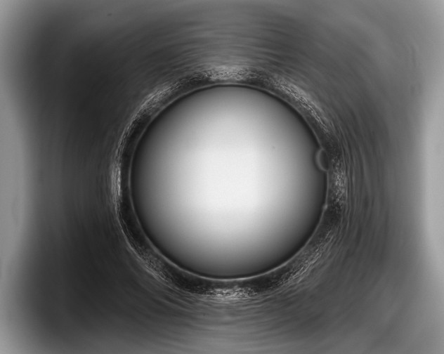 X0000097890686200803211356