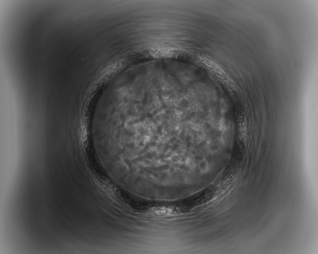 X0000097890687200803211356