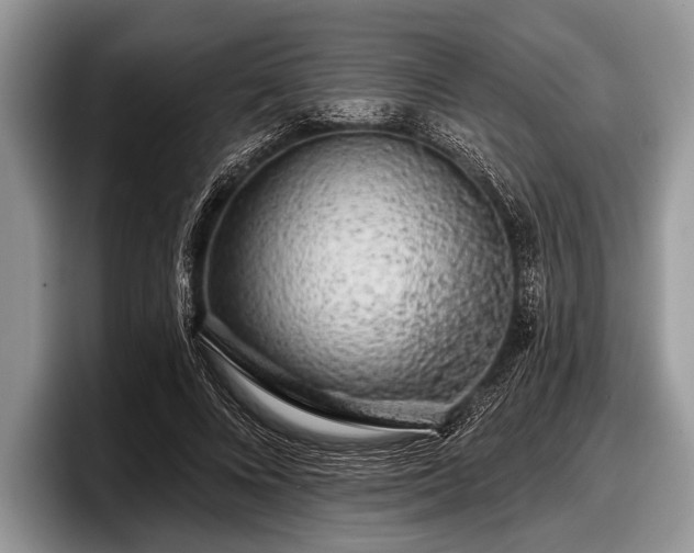 X0000097890688200803211356