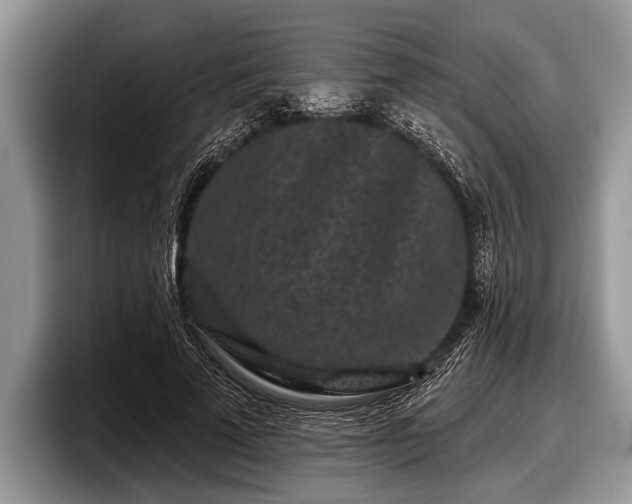 X0000097890689200803211356