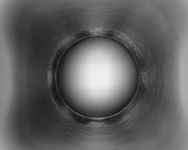 X0000097890690200803211356