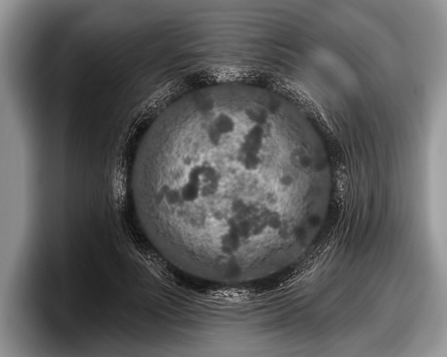 X0000097890691200803211356