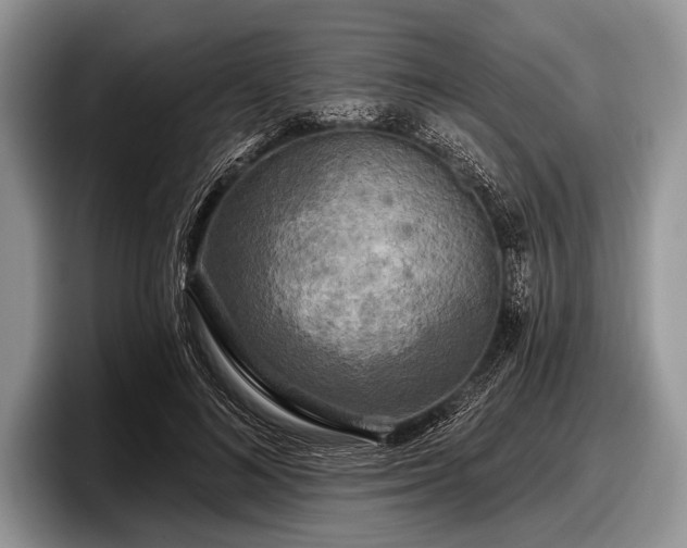 X0000097890692200803211356