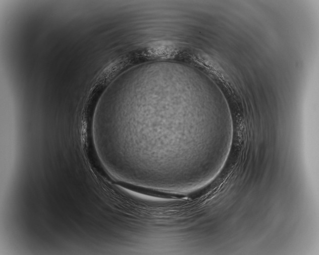 X0000097890693200803211356