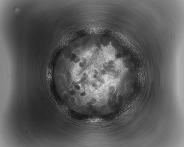 X0000097890695200803211356