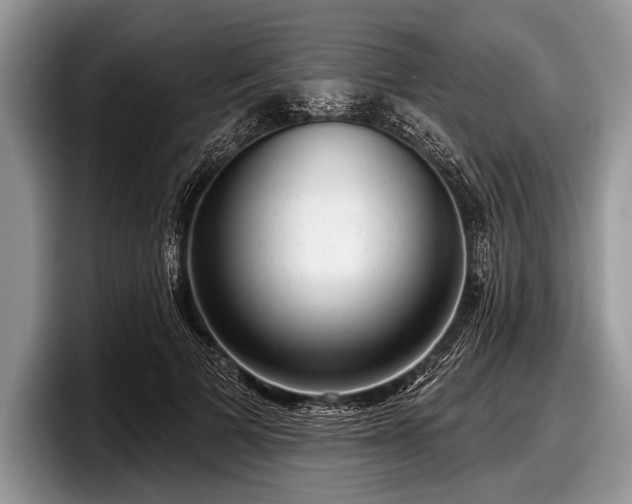 X0000097890697200803211356