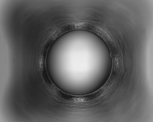 X0000097890698200803211355