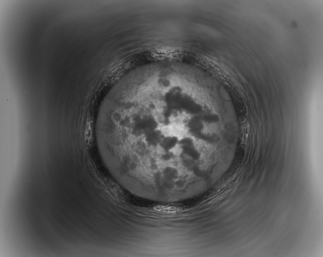 X0000097890699200803211355