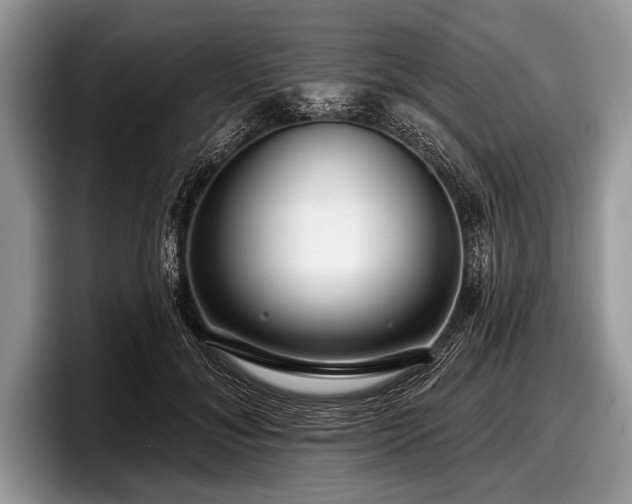 X0000097890700200803211355