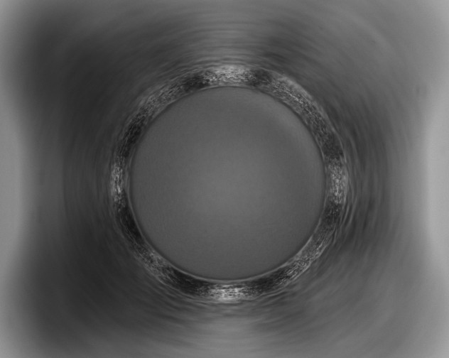 X0000097890701200803211355