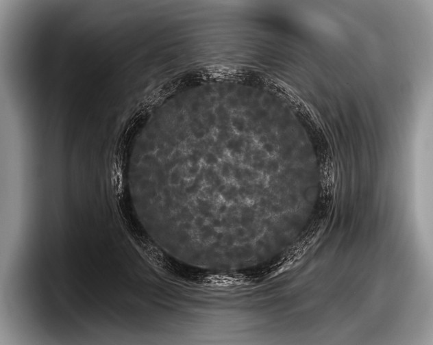 X0000097890703200803211355