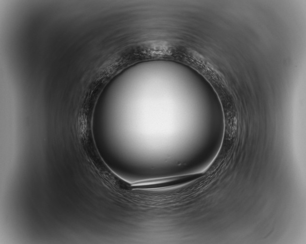 X0000097890704200803211355