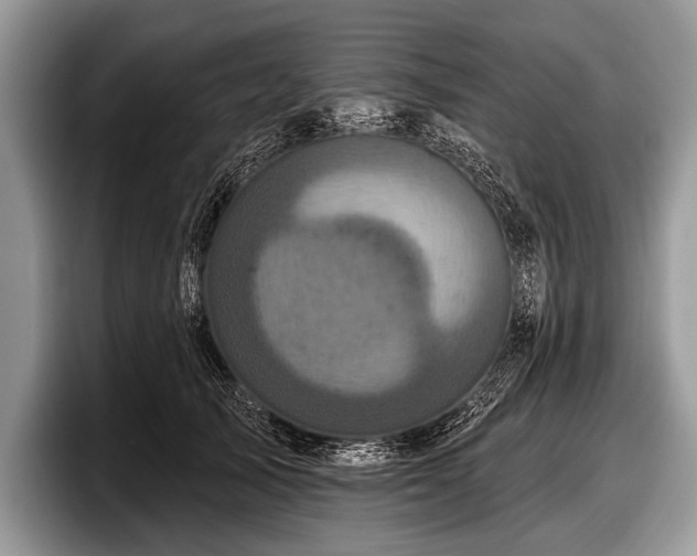 X0000097890705200803211355