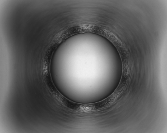 X0000097890706200803211355