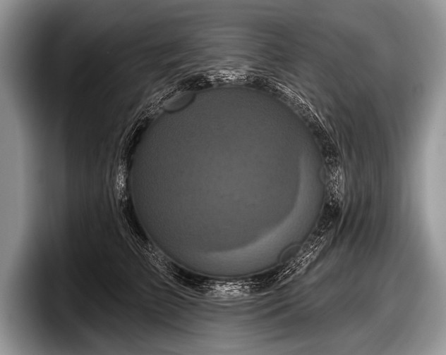 X0000097890709200803211355