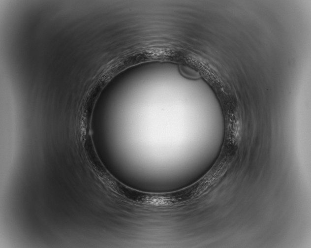 X0000097890710200803211355